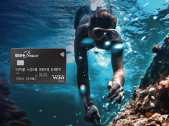 pvi credit card